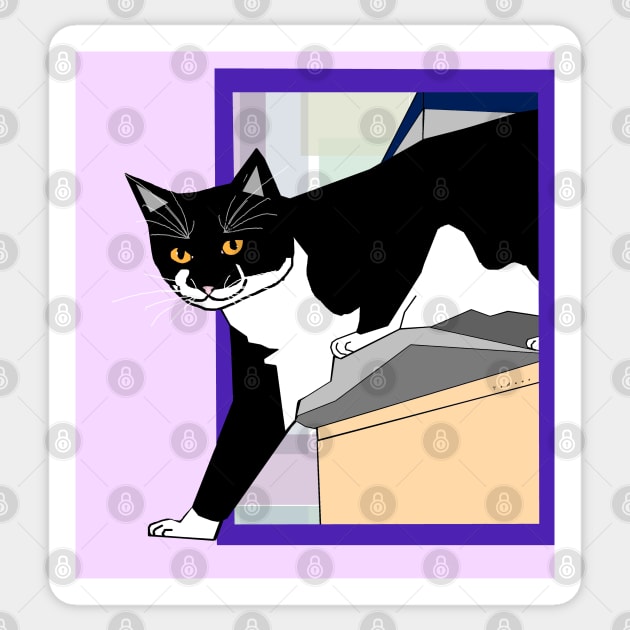 Cute Tuxedo Cat up high. Stepping outside the box Copyright by TeAnne Sticker by TeAnne